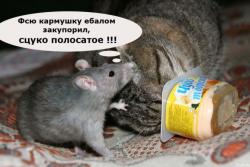 Прикрепленное изображение: dyavolica.jpg