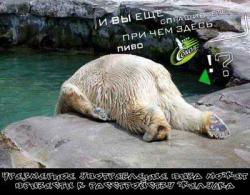 Прикрепленное изображение: 21ig.jpg