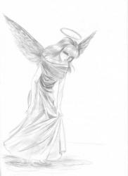 Прикрепленное изображение: angel01.jpg