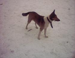 Прикрепленное изображение: IMAGE0028.JPG