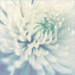 Прикрепленное изображение: IMG_0900_small.jpg