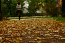 Прикрепленное изображение: _____.jpg