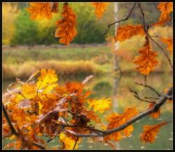 Прикрепленное изображение: _2.jpg