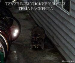 Прикрепленное изображение: 12322.jpg
